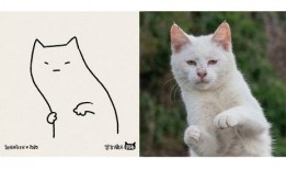 猫二在线观看影片,在线影片精选解析